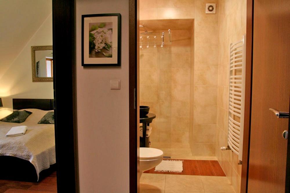 Apartserwis - Gorące źródła Lodowa Kopa 2 *